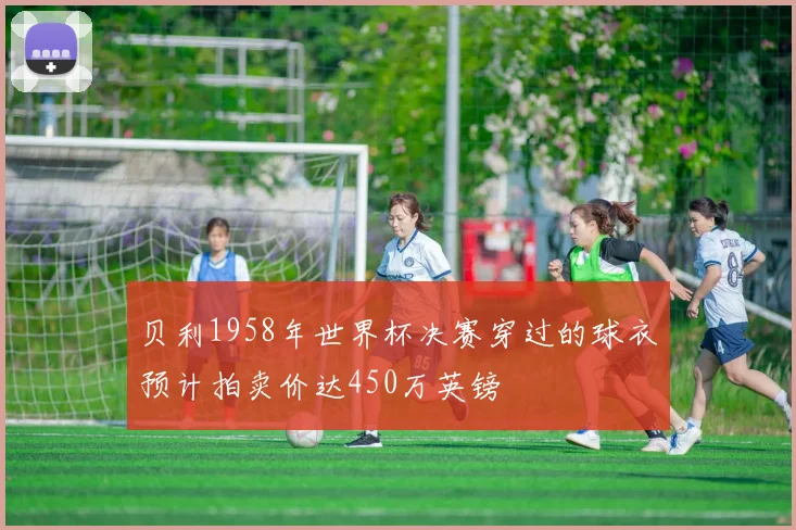 贝利1958年世界杯决赛穿过的球衣预计拍卖价达450万英镑