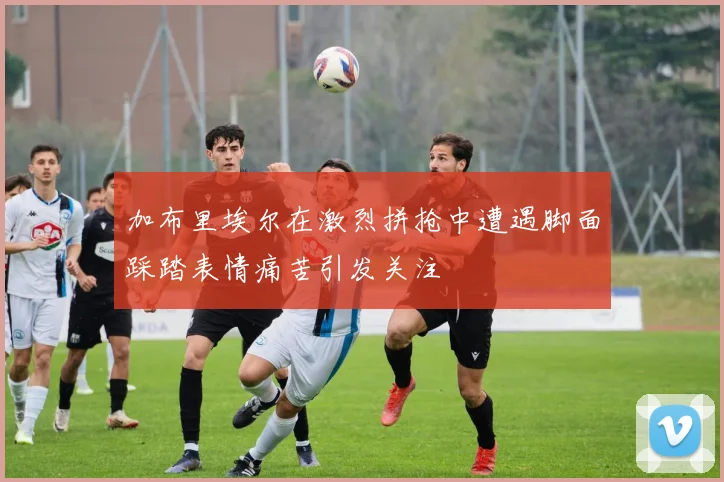 加布里埃尔在激烈拼抢中遭遇脚面踩踏表情痛苦引发关注
