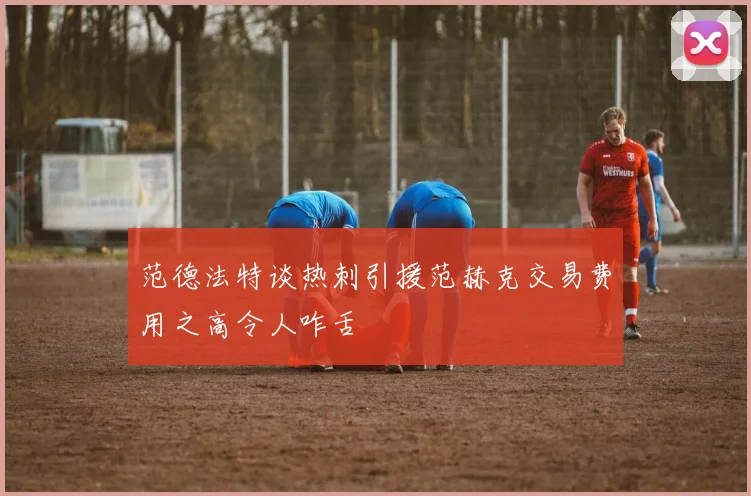 范德法特谈热刺引援范赫克交易费用之高令人咋舌
