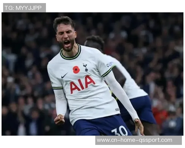 英媒透露本坦库尔将续约热刺同时球队有意买断帕利尼亚 英媒透露本坦库尔将续约热刺同时球队有意买断帕利尼亚