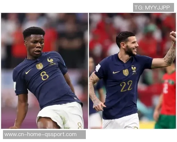 巴尔科拉因伤缺阵托万时隔六年重回法国国家队大名单 巴尔科拉因伤缺阵托万时隔六年重回法国国家队大名单